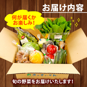 【全3回定期便】 野菜 詰め合わせ おまかせ 野菜詰合せ （9～12種） ｜ 野菜野菜野菜