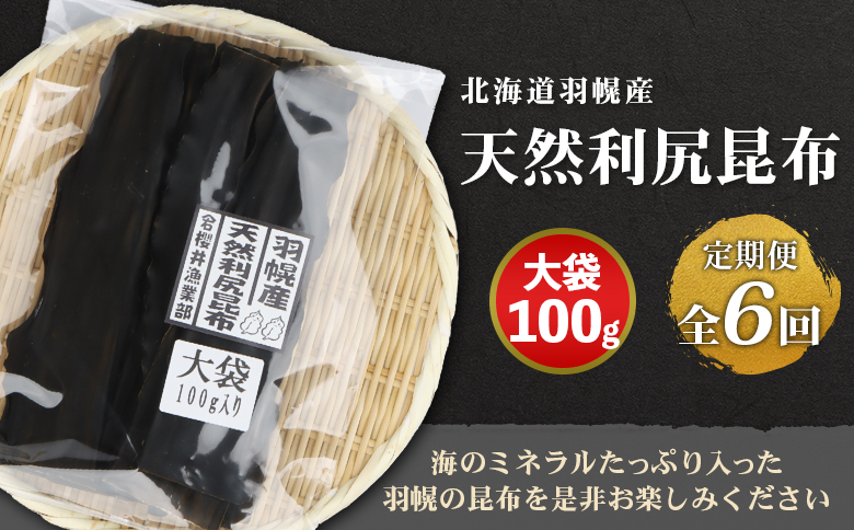 【定期便:全6回】 北海道羽幌町産 天然利尻昆布 大袋 100g ｜ 昆布 天然昆布 こんぶ  コンブ オンライン 申請 ふるさと納税 北海道 羽幌 利尻昆布 高級昆布 定期便 出汁 だし 昆布巻き 