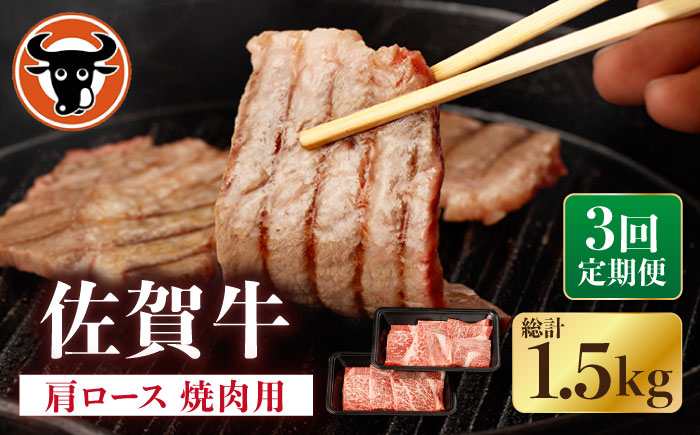 【3回定期便】佐賀牛 肩ロース 焼肉用 計500g（250g×2p） / 佐賀牛 佐賀県産黒毛和牛 牛肉【一ノ瀬畜産】 [NAC152]
