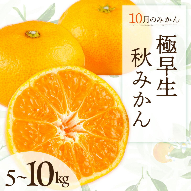 【ふるさと納税】10月の御浜柑橘 秋みかん 5～10kg【御浜町でとれた秋みかんをお届け！】