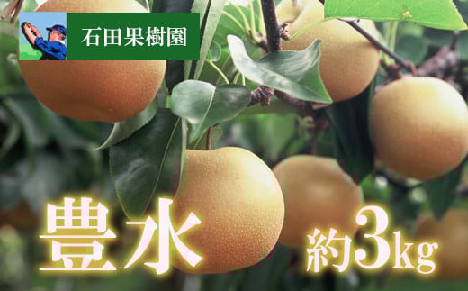 No.2737梨　豊水　3kg【2025年発送　先行予約】