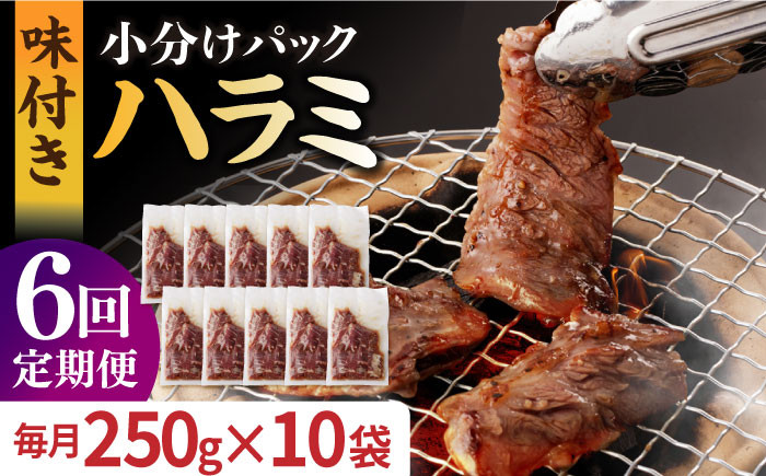 
                  【全6回定期便】ハラミ【塩だれ】九州産和牛ハラミ 2.5kg（250g×10袋）長与町/岩永ホルモン [EAX090] 国産 牛肉 ハラミ 牛ハラミ はらみ 小分け 味付き サガリ 焼肉 焼き肉 塩 しお 冷凍 焼肉 焼き肉 やきにく 九州 定期便 ていきびん 定期
                