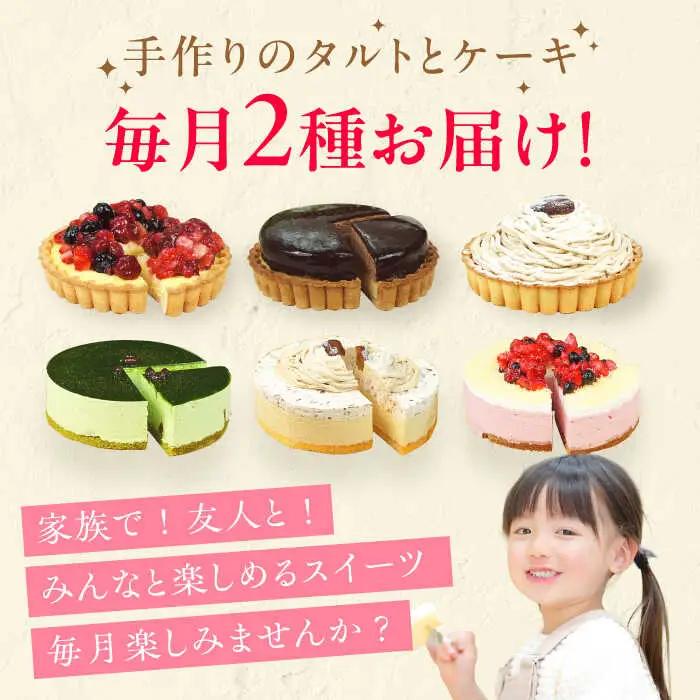 【全6回定期便】12種のケーキ・タルト スイーツ定期便 / ケーキ タルト スイーツ [AFAK034]