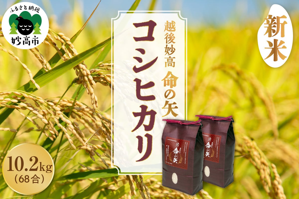 
            【先行予約】令和7年産 越後妙高命の矢 コシヒカリ 10.2kg
          