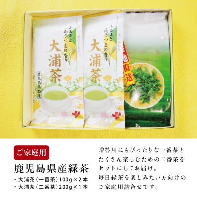ふるさと納税 南さつま市 【ご家庭用】鹿児島県産緑茶 大浦茶 3本セット 計400g かごしま 日本茶 緑茶 茶葉 |  | 02