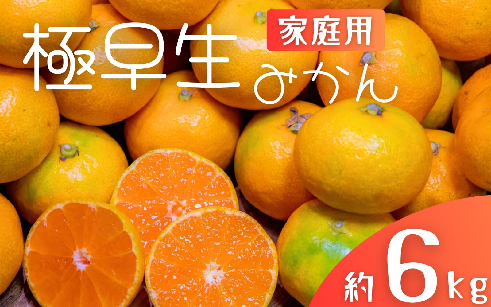 
            極早生みかん 約6kg みかん 産直 サイズ混合 みかん 早生みかん 果物 くだもの フルーツ 温州みかん 和歌山 柑橘 オレンジ【2025年10月上旬～下旬頃に順次発送】【mrmt028】
          