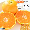 【ふるさと納税】＜おはこやがつくる 甘平 約2kg/3kg（L～3Lサイズ）＞ 果物 フルーツ 柑橘類 かんぺい カンペイ オレンジ みかん ミカン サイズ混合 おいしい 甘い 愛媛限定栽培 特産品 産地直送 西宇和 愛媛県 西予市【常温】『2025年2月上旬から2月下旬迄に順次出荷予定』