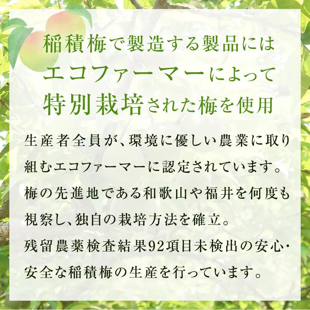 梅ドリンク 氷見乙女（12本セット）｜ 富山県固有種 稲積梅使用 梅ドリンク