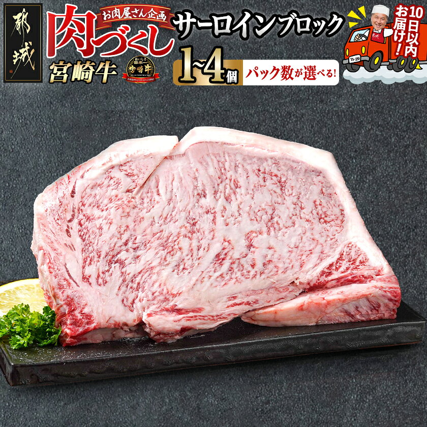 【ふるさと納税】【パック数が選べる！】【肉づくし都城】宮崎牛サーロインブロック【500g】 - 都城産 宮崎牛 選べる個数 500g×1個/2個/3個/4個 牛肉 サーロインステーキ A5 送料無料 SKU-0109 【宮崎県都城市】
