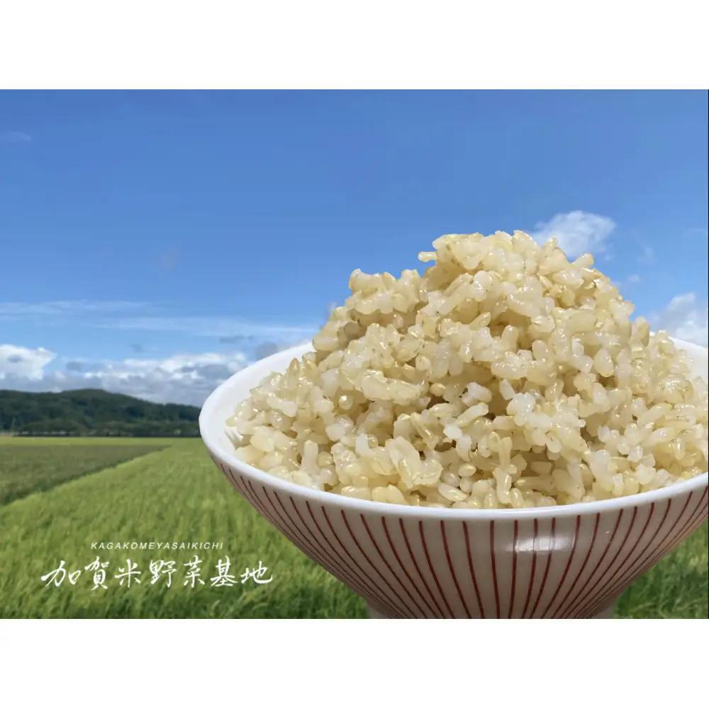 【12ヶ月定期便】【お米番付優秀賞受賞農家】日本一粒の大きいお米『いのちの壱』玄米10kg×12回