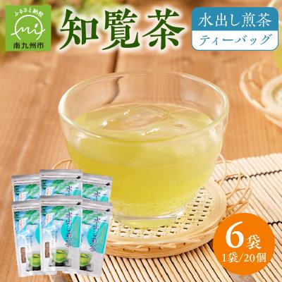 ふるさと納税 南九州市 知覧茶 水出し煎茶 ティーバッグ