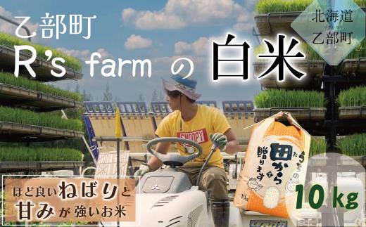 【北海道の米(10kg)】＜ ～もっちり柔らか！若手農家が作る米～ 米 国産米 北海道 道産 道産米 ＞