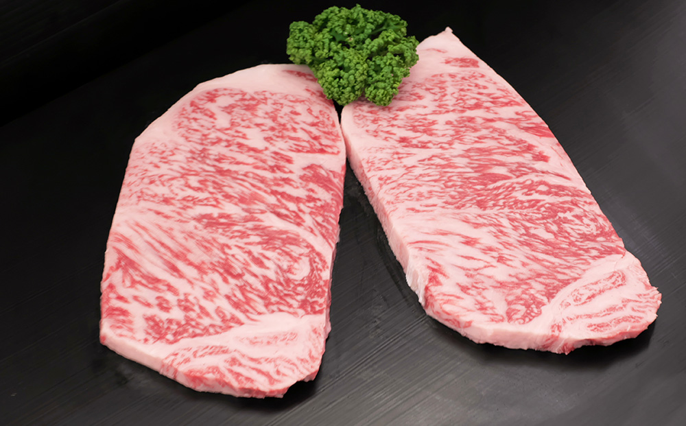 【3回定期便】特別限定セット さがびよりと佐賀牛 おいしいコラボ【米 ブランド米 肉 牛肉 ブランド牛 ヒレ サーロイン ステーキ肉】(H996P106)