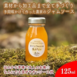 手づくりジャムソース 4本セット 手作りみかん キウイ あまなつ ブルーベリー 125ml 詰め合わせ ギフト 【 家庭用 自宅用 贈答品 贈答用 ギフト お取り寄せ お中元 お歳暮 贈り物 お祝い 