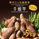 【ふるさと納税】やまがた伝統野菜 「子姫芋（里芋）」5kg 《土付き》 山形県産 【2024年10月下旬頃から順次発送予定】／ お取り寄せ 特産 名産 産地直送 野菜 旬 さといも 山形産 新鮮 こだわり 煮込み料理 国産 ブランド 根菜 5キロ 2024年産 令和6年産