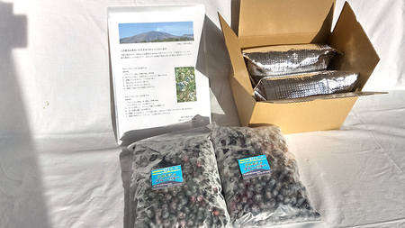 【数量限定】 冷凍ブルーベリー2kg 国産 [AD003tu]