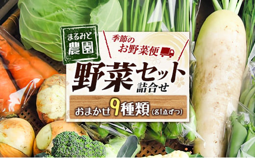 
野菜セット 詰め合わせ まるみど農園の季節のお野菜便 農薬使わずに育ててます 9種類 旬 農家直送 国産 送料無料_MA105_001
