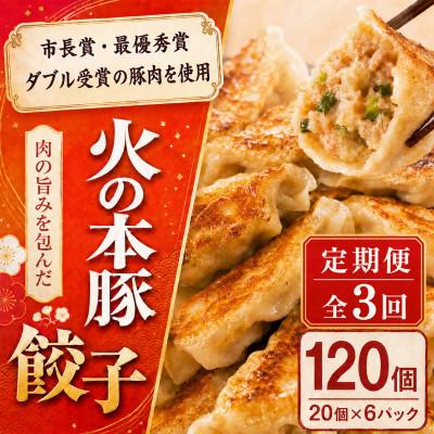 ふるさと納税 和水町 【毎月定期便】火の本豚 餃子 20個入り×6パック (和水町)全3回