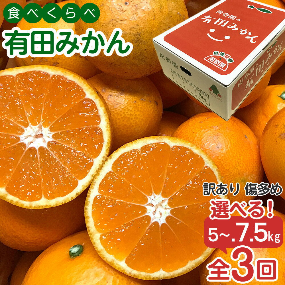 【ふるさと納税】【選べる容量】定期便 訳あり 傷多め 5～7.5kg 全3回 有田みかん 食べくらべ 3種 南泰園 みかん