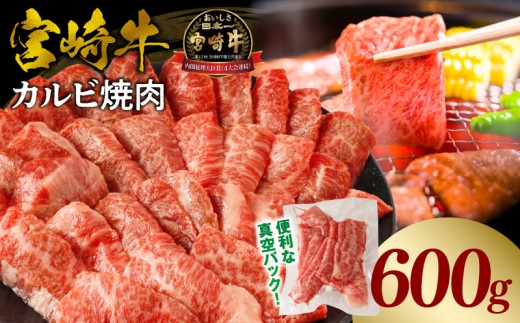 《2026年9月発送》宮崎牛カルビ(バラ)焼肉 合計600g_M365-001-02-sep