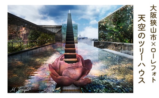 5－A5 大阪狭山市×ローレフォト 天空のツリーハウス ／ 絵画 A5サイズ 写真作品 大阪府 No.169