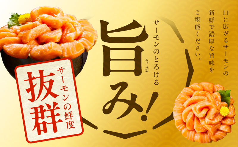 北極圏サーモン ポーション 1kg【高級 小分け 海鮮丼 人気 オススメ 小分け 冷凍 簡単調理 一人暮らし】