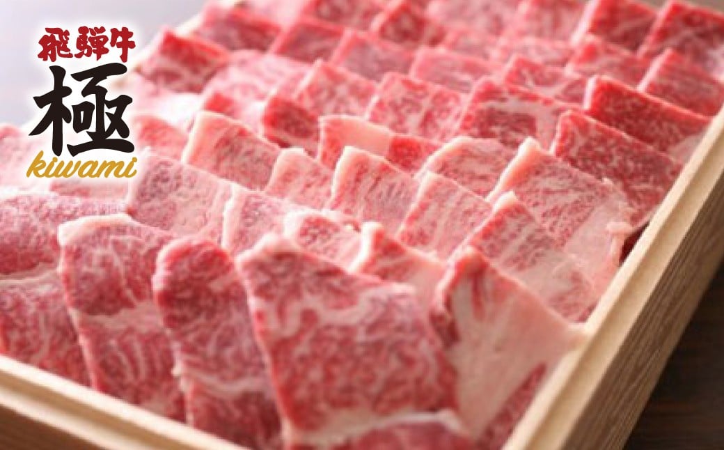 
                  飛騨牛 バーベキュー BBQ がっつりカルビ500g  牛肉 和牛 
                