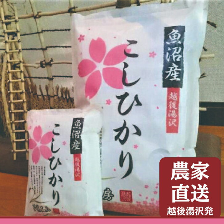 【ふるさと納税】 令和7年産 農家直送！越後湯沢発 さくらファーム 南魚沼最上流域【湯沢産コシヒカリ】