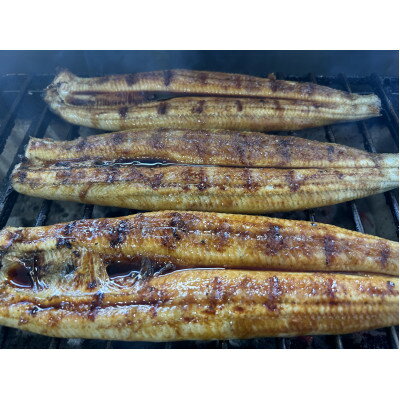 【ふるさと納税】【国産うなぎ】大サイズ140g -170g　鹿児島産　6尾セット 炭火蒲焼き(タレ付)【配送不可地域：離島】【1659351】