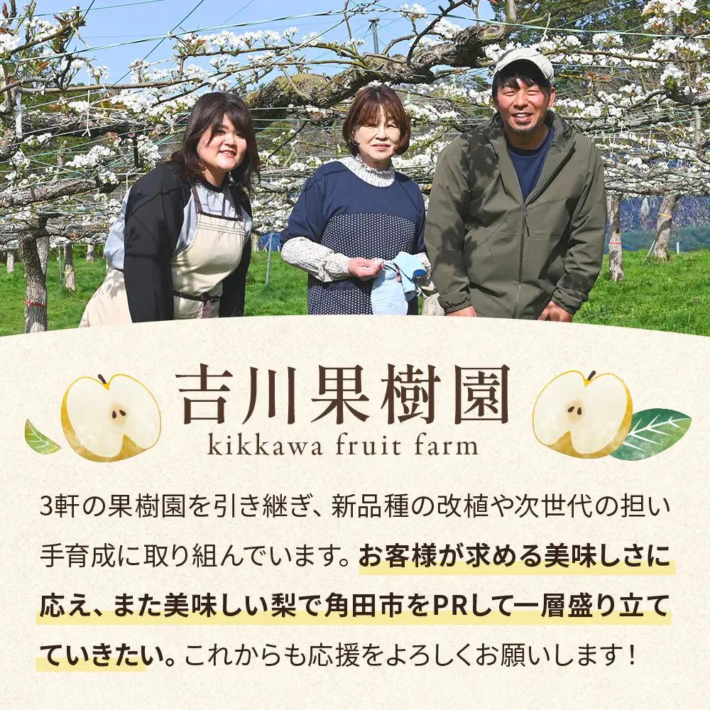 (訳あり) 旬の和梨　約５kg【吉川果樹園】 ｜ 梨 