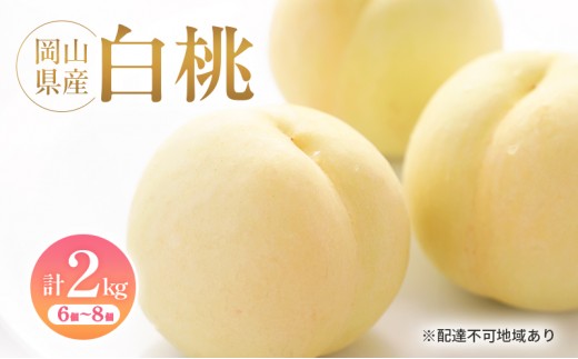 
                  [№5615-0970]桃 白桃 岡山県産 約2kg(6個～8個) 果物 フルーツ 桃 もも モモ 国産 岡山 数量限定
                