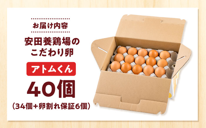 安田養鶏場の卵 アトムくん 40個入り 横須賀市 産地直送 割れ保証付き たまご 黄身 濃厚 卵 玉子 タマゴ 鶏卵 【安田養鶏場】 [AKHN003]