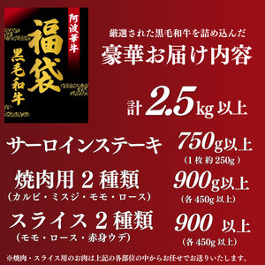 牛肉 福袋 10万円コース 計2.5kg 黒毛和牛 A5等級 阿波華牛 和牛 ぎゅうにく 牛 ぎゅう うし 肉 ビーフ