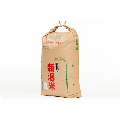 ふるさと納税 十日町市 令和6年産 農家直送!魚沼産コシヒカリ特別栽培「白羽毛の米」玄米(30kg×1袋) 30kg |  | 01