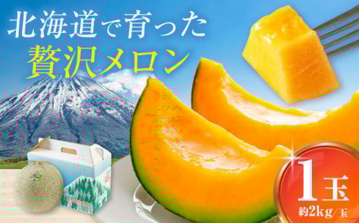 【2025年8月以降順次発送】 【】 赤肉メロン 2kg×1玉 《喜茂別町》【Aコープようてい】 先行予約メロン 赤肉 フルーツ 果物 北海道 産地直送 [AJAK023] 9000 9000円