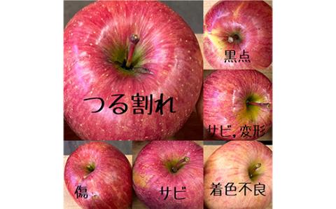 お試し 規格外品 糖度13度以上保証 りんご サンふじ 訳あり 【R7年りんご品評会最高賞】【配送不可地域：離島・沖縄県】
