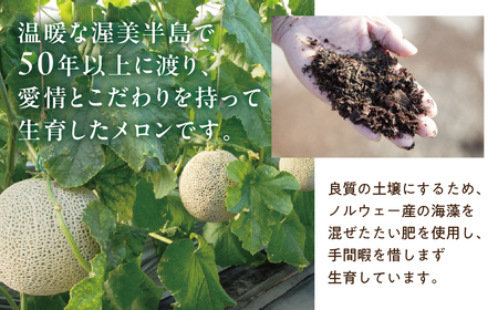 先行予約 特選メロン 2玉 マスクメロン (1玉 1.9kg前後) 渥美半島産 マルタケ農園 メロン めろん 箱詰め フルーツ 果物 愛知県 田原市 産地直送 夏 15000円 1万5千円