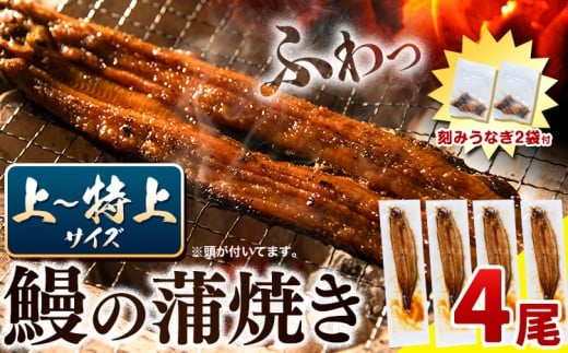 うなぎ 国産 鰻の蒲焼 4尾 + きざみうなぎ 30g×2袋 上～特上サイズ《30日以内に出荷》| うなぎ 蒲焼 国産 うなぎ 小分け うなぎ 国産 うなぎ ギフト うなぎ 簡易包装 送料無料 徳島県 上板町