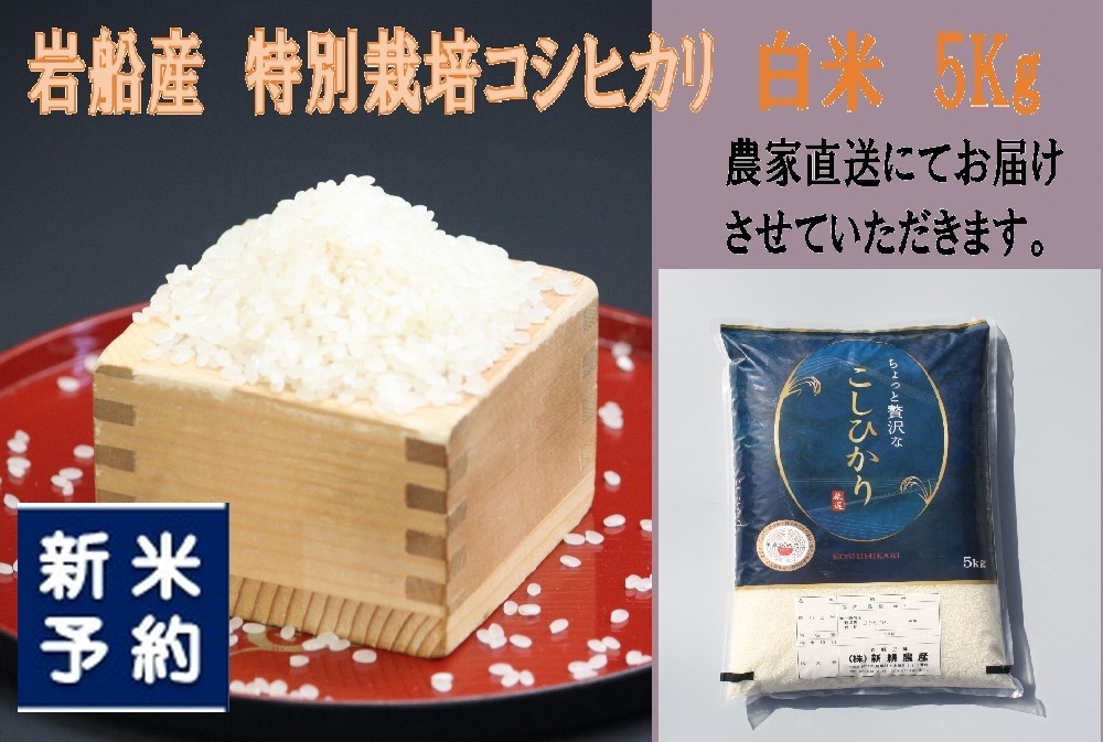 
                  【新米受付・令和8年産米】新潟県村上市岩船産 特別栽培米 ちょっと贅沢なコシヒカリ 5kg 1039047N
                