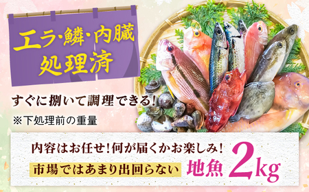 旬の地魚セット2kg（ウロコ/エラ/内臓処理済） 五島市/五島FF[PBJ009] 