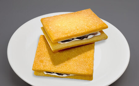 カルピスバターサンド 20個入 VISAVIS ＜株式会社シークス＞那珂川市 ラムレーズンサンド バタークリーム[GAU015]