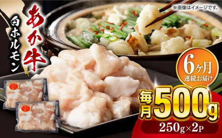 【全6回定期便】熊本県産 あか牛 白ホルモン 計500g ホルモン ホルモン ホルモン ホルモン ホルモン [YBZ008]