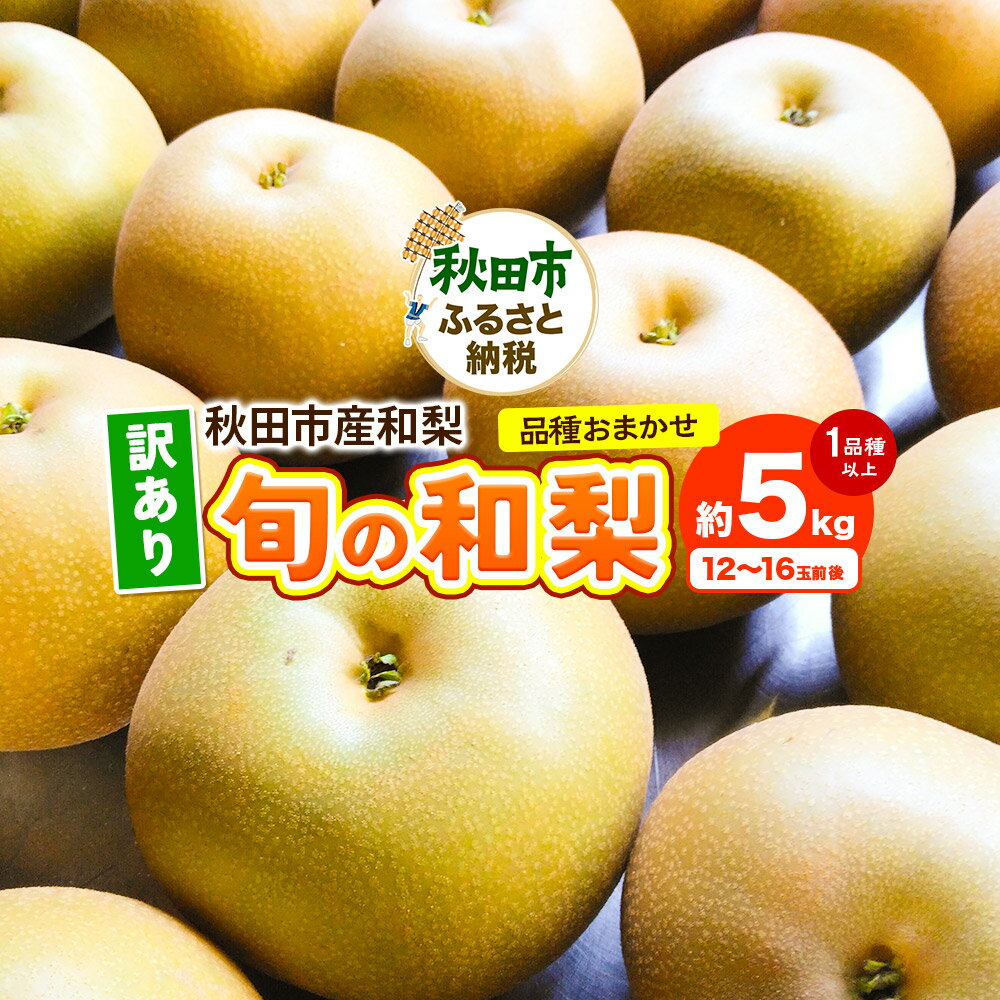 【ふるさと納税】【訳あり】秋田市産 和梨 旬の品種おまかせ 約5kg（12〜16玉前後）