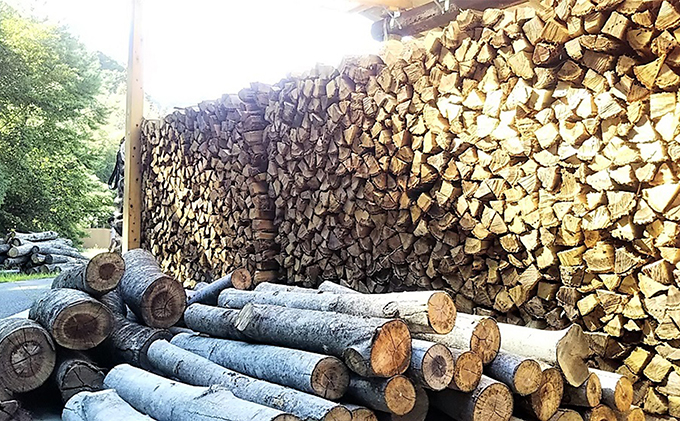 薪 20kg × 10箱 計200kg コナラ クヌギ カシ 広葉樹 乾燥薪 五名の薪 薪ストーブ 暖炉 焚き火 焚火 ピザ焼き釜 キャンプファイヤー キャンプ ソロキャンプ アウトドア アウトドア用品 着火 燃料 まき 里山 約35cm キャンプ用品 香川県 東かがわ市 46311818