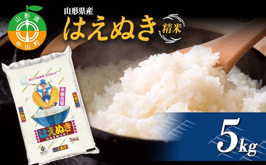 【令和7年度産】 山形県産 はえぬき精米 5kg ブランド米 こめ ご飯 ごはん 白米 F4A-0980