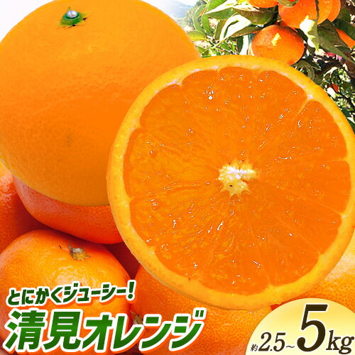 【ふるさと納税】＜先行予約＞とにかくジューシー 清見 オレンジ 2.5kg 5kg 株式会社魚鶴商店《2026年3月下旬-4月中旬頃より出荷予定》和歌山県 日高町 柑橘 果物 フルーツ 清見オレンジ