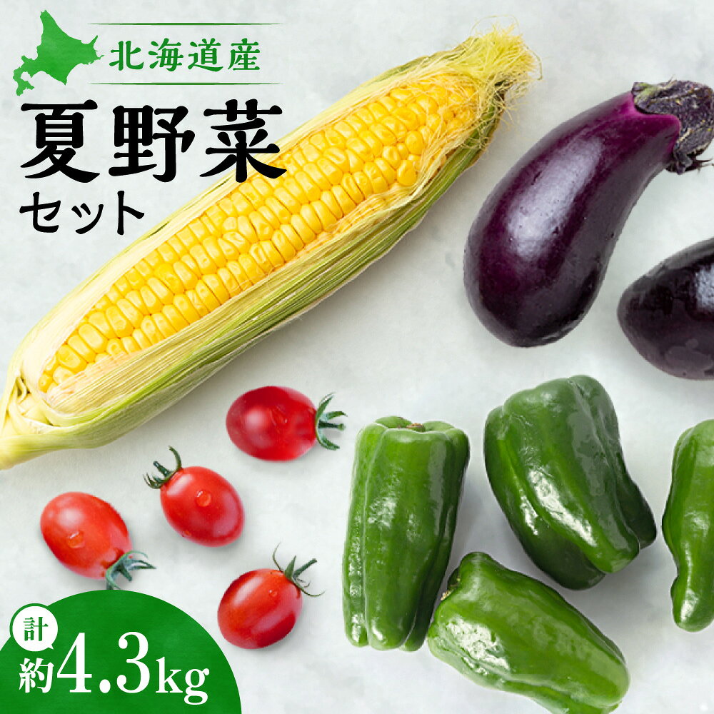 【ふるさと納税】 夏野菜 セット トウモロコシ スイートコーン コーン ミニトマト トマト ピーマン ナス 茄子 やさい 野菜 冷蔵 季節限定 詰合せ 生鮮 旬 調理 料理 北海道 札幌市