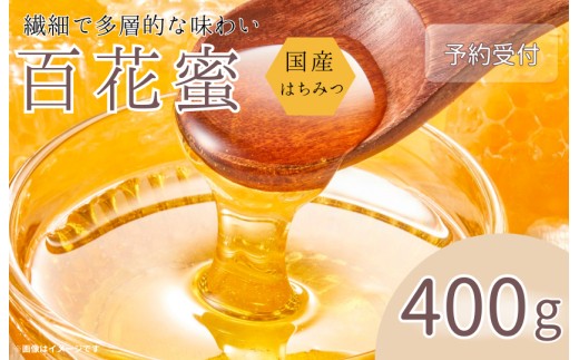 《予約受付》国産はちみつ　百花蜜 　400g ／ はちみつ ハチミツ 蜂蜜 ハニー 国産 日本産 百花蜜 400g 産地直送 茨城県 利根町 送料無料