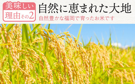 【定期便全6回】【令和7年産新米予約】【食味鑑定士厳選】福岡県産 夢つくし10kg (5kg×2袋) 合計 60kg
