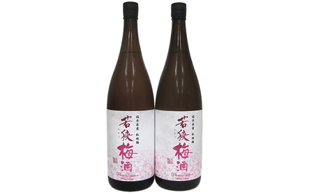 梅酒 福井県産 紅映梅 本格梅酒 1800ml 2本セット 梅酒